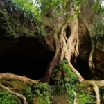 Kochareekkal-Caves-jpg