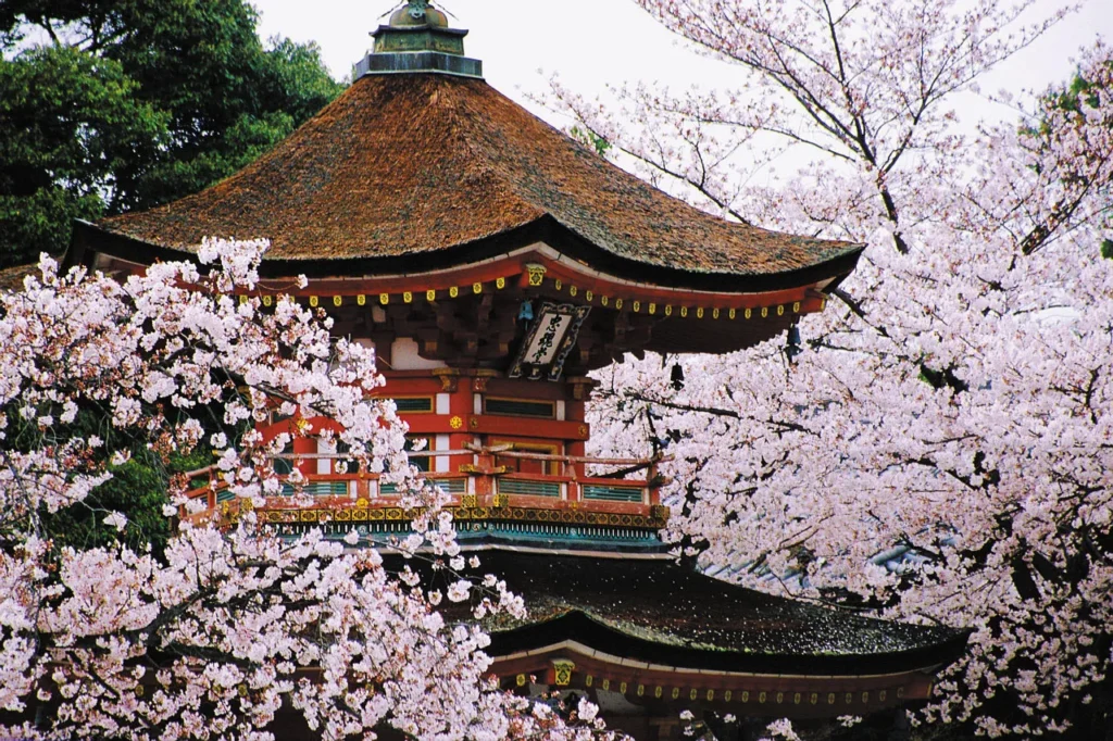 15 Best places to visit in Kyoto-Japan, attractions, food culture 2024